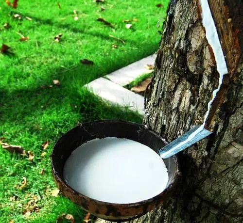 國內(nèi)橡膠制品配套生產(chǎn)的進(jìn)程（一）