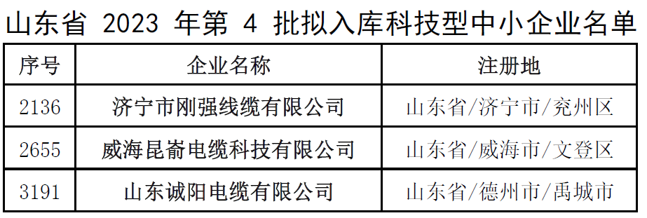 此次入庫名單的公示將為這些企業(yè)帶來更多的發(fā)展機遇和資源支持，同時也為其他科技型中小企業(yè)樹立了榜樣。