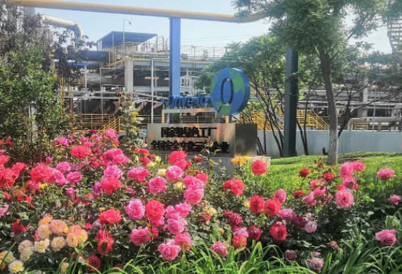 作為卡博特集團(tuán)全球旗艦工廠和最大的綜合性生產(chǎn)基地，卡博特化工(天津)有限公司在環(huán)保、安全和運(yùn)營方面取得了卓越的成績。除了被評為“全國安全文化建設(shè)示范企業(yè)”，該公司還榮獲了國家工信部頒發(fā)的“綠色工廠”稱號。