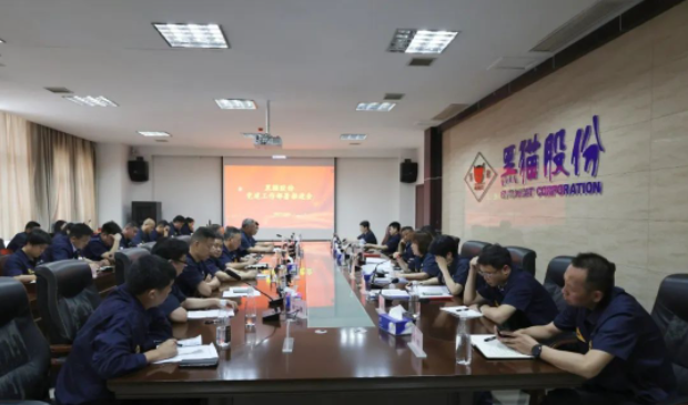 黑貓股份召開了基層黨建工作部署推進會，旨在進一步強化黨對公司及各單位發(fā)展的引領作用。黑貓股份黨委副書記、董事長、總經理魏明以及黨政領導班子成員出席了會議，會議由公司黨委專職副書記周芝凝主持。