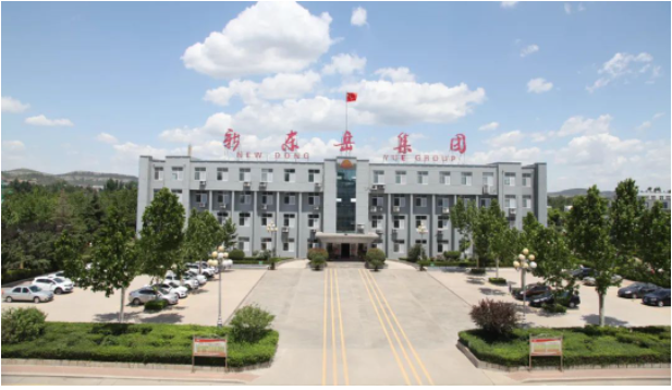 這次會(huì)議為新東岳集團(tuán)公司的高級(jí)管理人員提供了一個(gè)交流和總結(jié)的平臺(tái)，以進(jìn)一步推動(dòng)企業(yè)的高效運(yùn)營(yíng)。