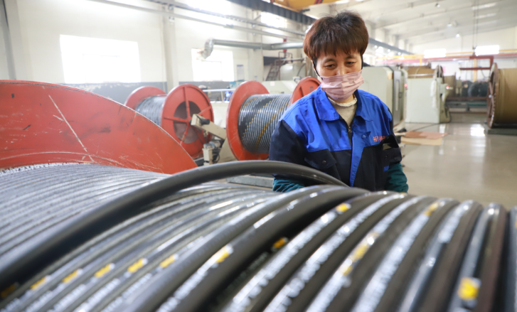 裕亨橡塑科技公司的經(jīng)理蘇志坤表示，公司不僅突破了一批核心關(guān)鍵技術(shù)，還擁有多項(xiàng)發(fā)明，產(chǎn)品已成功打入國外市場。其生產(chǎn)的超長纏繞膠管在單根長度上超過普通膠管的兩倍，并且在脈沖性能、耐老化性能、爆破壓力等參數(shù)上達(dá)到了國際先進(jìn)水平，廣泛應(yīng)用于石油、礦山、工程機(jī)械等領(lǐng)域。