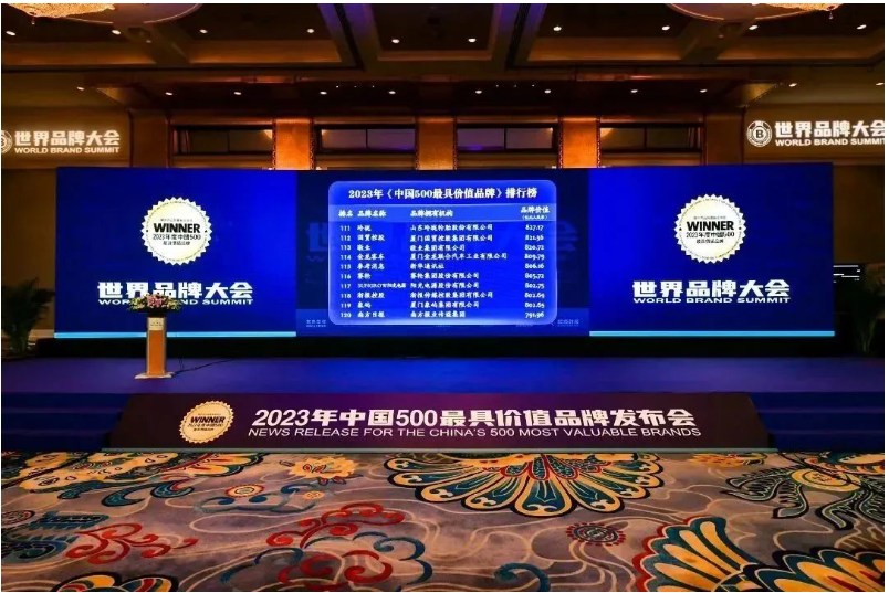 賽輪集團(tuán)憑借其深厚的品牌積淀和強(qiáng)大的品牌成長(zhǎng)力，逐步躋身世界級(jí)輪胎品牌的行列。未來(lái)，賽輪集團(tuán)表示將繼續(xù)堅(jiān)持創(chuàng)新研發(fā)，以"中國(guó)匠心"打造"世界品質(zhì)"，不斷豐富品牌底蘊(yùn)，開(kāi)啟中國(guó)輪胎品牌崛起的新篇章!