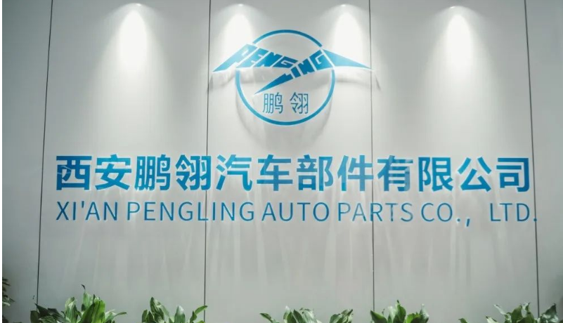 西安鵬翎工廠的成功投產(chǎn)標(biāo)志著鵬翎集團(tuán)化發(fā)展的重要里程碑。鵬翎集團(tuán)通過搭建"六地七廠"的近地化網(wǎng)絡(luò)覆蓋，成功構(gòu)建了從華北到華南、由華東至西北的生產(chǎn)網(wǎng)絡(luò)和服務(wù)網(wǎng)絡(luò)，充分發(fā)揮了集團(tuán)的優(yōu)勢。