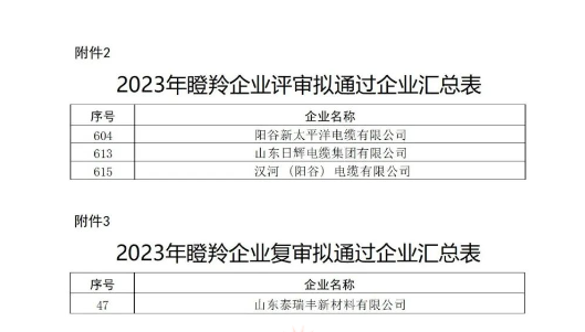 山東省工業(yè)和信息化廳在本次認(rèn)定工作中嚴(yán)格按照相關(guān)文件規(guī)定的程序和標(biāo)準(zhǔn)進(jìn)行評(píng)選，充分尊重市場(chǎng)主體自愿申報(bào)的原則，注重專(zhuān)家評(píng)審和第三方信用評(píng)級(jí)的公正性與權(quán)威性，確保了認(rèn)定結(jié)果的準(zhǔn)確性和公信力。