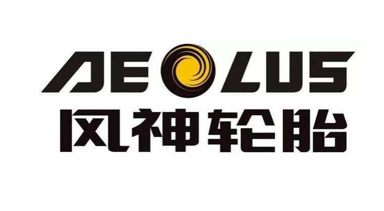 河南省制造業(yè)頭雁企業(yè)名單正式對外公布。在這份名單中，風神輪胎股份有限公司脫穎而出，成為唯一入選的輪胎企業(yè)。