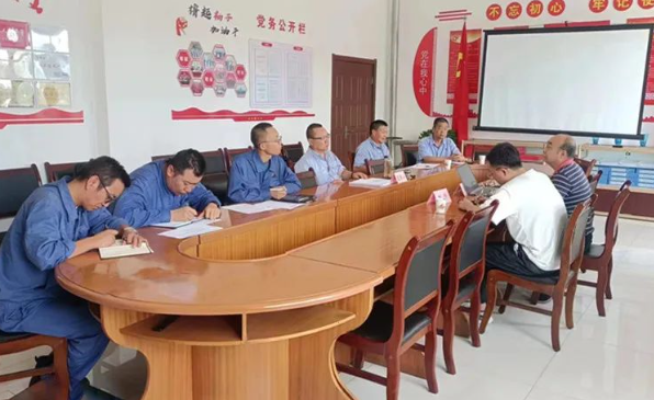 大友嘉能與撫順振興化工工程設計有限公司開展炭黑工藝技術交流