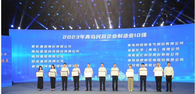 依托青島科技大學(xué)的支持，賽輪集團(tuán)憑借其內(nèi)在的科技創(chuàng)新基因脫穎而出。成立20余年來，該集團(tuán)始終秉持著“做一條優(yōu)質(zhì)輪胎”的使命，緊緊抓住自主創(chuàng)新這一引擎，聯(lián)合國家橡膠與輪胎工程技術(shù)研究中心，全力攻克一系列核心技術(shù)難題。不僅成功研發(fā)出世界最大尺寸的63吋巨型工程子午胎，還發(fā)布了全球首個投入使用的橡膠工業(yè)互聯(lián)網(wǎng)平臺——“橡鏈云”。此外，其還運用全球首創(chuàng)的化學(xué)煉膠技術(shù)，成功研發(fā)出新一代輪胎產(chǎn)品，被譽(yù)為“液體黃金”輪胎。這一產(chǎn)品不僅在耐磨方面實現(xiàn)突破，還在節(jié)能、舒適性和制動距離等方面做出了顯著貢獻(xiàn)，解決了業(yè)界長期面臨的“魔鬼三角”難題。