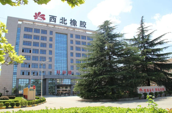 陜西咸陽高新區(qū)管委會公布了《2023年重點工業(yè)企業(yè)培育計劃首年入庫名單》，共有16家企業(yè)脫穎而出，其中陜西延長石油西北橡膠有限公司(簡稱西橡公司)以優(yōu)異表現(xiàn)成功入選。