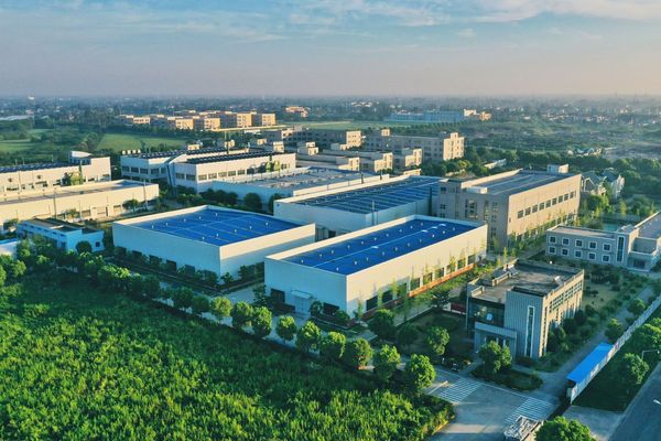 在報告期內(nèi)，永利股份繼續(xù)堅持全球產(chǎn)業(yè)布局的戰(zhàn)略，鞏固并拓展了海外市場，以中國作為總部，積極擴展了海外的生產(chǎn)、銷售和研發(fā)服務(wù)網(wǎng)絡(luò)，以更好地滿足客戶的需求。同時，永利股份不斷推進數(shù)字化建設(shè)，通過信息化工具提高了綜合管理水平，以確保業(yè)務(wù)的持續(xù)發(fā)展。