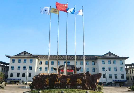 這一榮譽的獲得標(biāo)志著唐山黑貓綠色制造的新進展和突破，對于在“綠色、節(jié)能、環(huán)保”領(lǐng)域引領(lǐng)行業(yè)發(fā)展具有重要意義。未來，唐山黑貓表示將繼續(xù)堅持低碳環(huán)保的綠色發(fā)展道路，積極推動綠色環(huán)保措施的全面普及，構(gòu)建新的企業(yè)發(fā)展格局，為社會經(jīng)濟的健康發(fā)展貢獻更多力量。這一成就不僅對唐山黑貓公司本身而言，也為全行業(yè)樹立了榜樣，鼓勵更多企業(yè)走向綠色、可持續(xù)的發(fā)展之路。