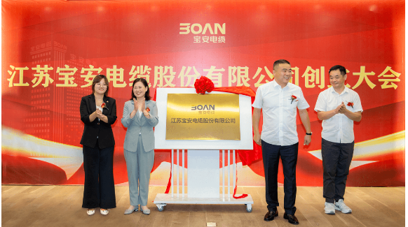 這一次股東大會(huì)的成功召開(kāi)為江蘇寶安電纜股份有限公司的未來(lái)發(fā)展注入了新的活力，也為其在資本市場(chǎng)上的發(fā)展藍(lán)圖奠定了堅(jiān)實(shí)基礎(chǔ)。