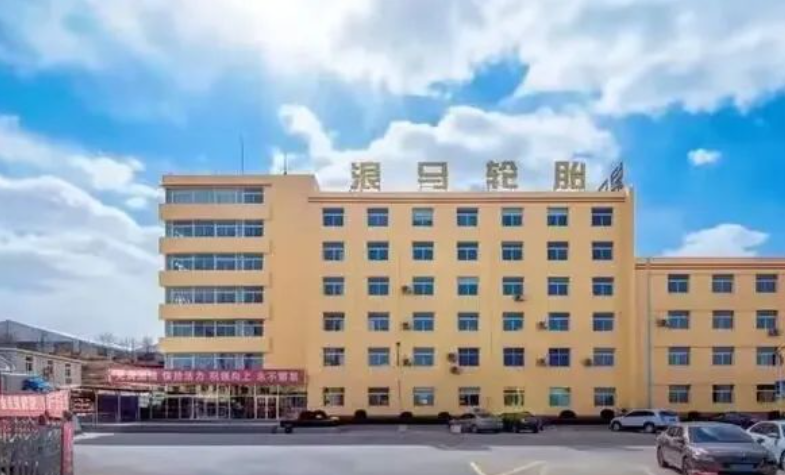 朝陽(yáng)浪馬輪胎有限責(zé)任公司發(fā)生主要人員變更，兩名董事和一名監(jiān)事退出，并新增了三名主要人員，包括兩名董事和一名監(jiān)事。目前，浪馬輪胎有四位董事和三名監(jiān)事。公司的董事長(zhǎng)是李慶文，總經(jīng)理是金永生，副總經(jīng)理是于海莉、亢中學(xué)、孫曉光、宮慶德。