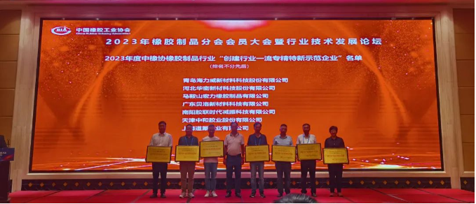 在行業(yè)技術論壇上，貝洛新材發(fā)展中心總監(jiān)姚芳偉發(fā)表了題為《廚衛(wèi)電器核心密封件的國產(chǎn)替代之路》的主題演講。他回顧了廚衛(wèi)電器密封件行業(yè)的發(fā)展歷程，深入分析了國內(nèi)外產(chǎn)品的差異與發(fā)展趨勢。姚芳偉的演講為國產(chǎn)化產(chǎn)品的發(fā)展貢獻了重要思路與方向。