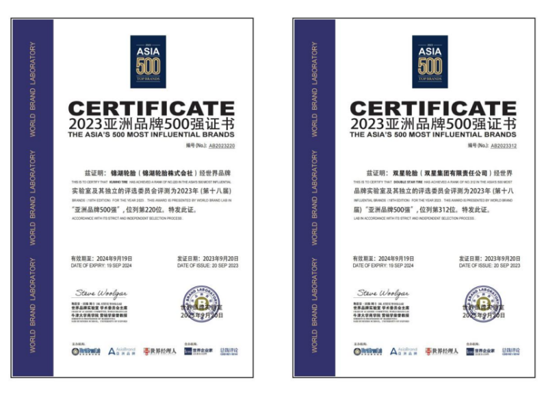 雙星集團(tuán)旗下的錦湖輪胎和雙星輪胎，以其優(yōu)異的市場(chǎng)滿意度、卓越的品牌表現(xiàn)力和突出的行業(yè)貢獻(xiàn)，成功入選“亞洲品牌500強(qiáng)”榜單。錦湖輪胎憑借近幾年強(qiáng)勁的發(fā)展勢(shì)頭，在輪胎品牌中位列第二位，而雙星輪胎則以在消費(fèi)者群體中優(yōu)秀的品牌認(rèn)知和品牌形象，穩(wěn)居中國(guó)輪胎行業(yè)第一名。