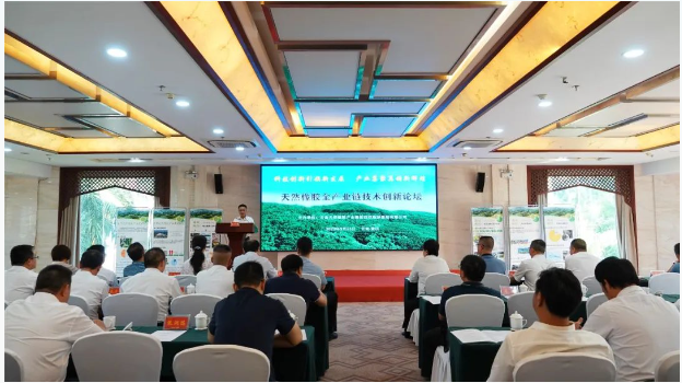 在揭牌儀式上，與會專家、州工信局相關(guān)負責人、云膠集團和景陽公司的領(lǐng)導聯(lián)合為工作站揭牌。郭勝惠專家基層科研工作站是云南省人力資源和社會保障廳批準的科研平臺，經(jīng)過精心篩選和建設(shè)，將在景陽公司的支持下專注于天然橡膠產(chǎn)業(yè)鏈的技術(shù)創(chuàng)新，強化產(chǎn)學研融合，推動技術(shù)創(chuàng)新體系的建設(shè)，助力橡膠全產(chǎn)業(yè)鏈科技創(chuàng)新，為西雙版納州的橡膠產(chǎn)業(yè)提供有力支持。