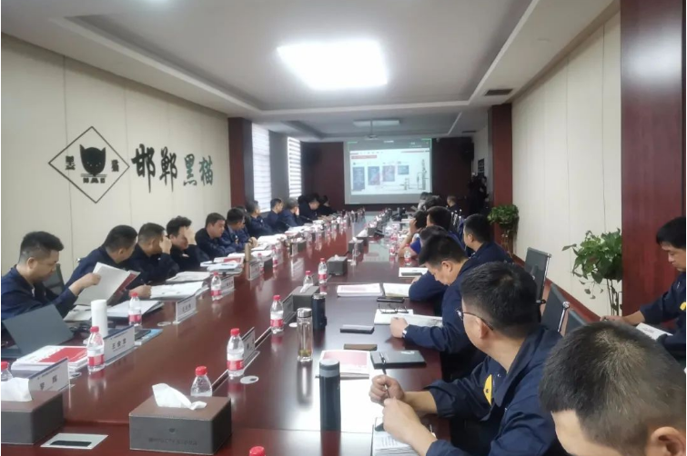 在交流培訓(xùn)會(huì)上，德固特詳細(xì)介紹了他們的高溫空氣預(yù)熱器、急冷鍋爐、余熱鍋爐、吹灰器、轉(zhuǎn)筒干燥機(jī)、造粒機(jī)等主要設(shè)備，并分享了撬裝式炭黑節(jié)能生產(chǎn)線、模塊化尾氣余熱回收系統(tǒng)、間接換熱干燥系統(tǒng)急節(jié)能型火箱等新技術(shù)。會(huì)后，德固特的負(fù)責(zé)人為參會(huì)者提供了各種設(shè)備的安裝、使用、維護(hù)和檢修要點(diǎn)，以便于各基地今后規(guī)范操作和設(shè)備的使用。