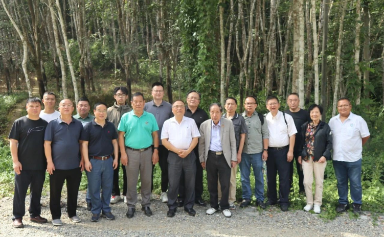 通過這次活動(dòng)，與會(huì)單位收獲頗豐。首先是增強(qiáng)了大家的自信并認(rèn)清了合作的重要性。而后項(xiàng)目完成推廣，對(duì)實(shí)現(xiàn)年減少二氧化碳排放量約219萬噸、國家碳中和戰(zhàn)略具有重大作用。最后也希望得到國家相關(guān)部門的關(guān)注和支持。