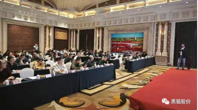 各參會嘉賓齊聚一堂，會場氣氛熱烈，會談內容豐富。通過本次推介會，黑貓股份與參會企業(yè)之間的距離得以拉近，工作思路也得以拓寬，為公司未來的高質量蓬勃發(fā)展奠定了堅實基礎。
