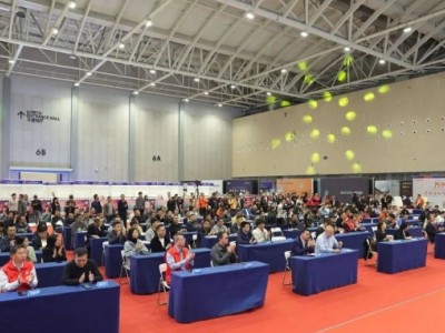 中國(guó)藝術(shù)涂料盛事：佛山嘉年華掀起技能風(fēng)暴