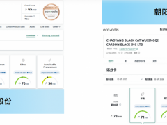 黑貓股份及朝陽(yáng)黑貓，獲Ecovadis社會(huì)責(zé)任評(píng)級(jí)