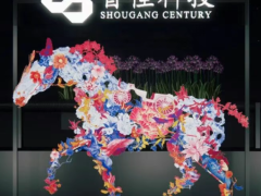 鋼簾線公司，披露2026年規(guī)劃！