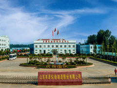 輪胎企業(yè)北交所上市沖刺，掃清關(guān)鍵障礙